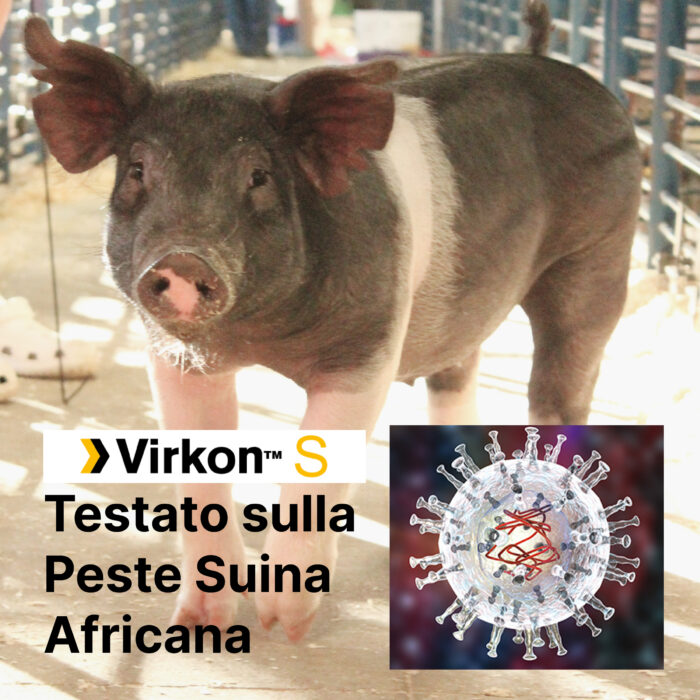Virkon™ S _Peste Suina Africana